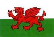 Wales Flag (Dragon)
