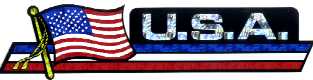 Foil Sticker: USA