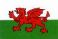 Welsh Flag (dragon)