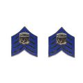 Pipe Band Insignia Pin - Drum Major