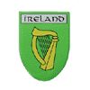 Irish Harp Pin