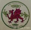 Keltic Designs Tee Shirt:Dragon