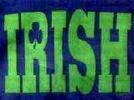 Escargot: Navy w green IRISH (Adult)